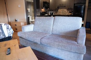 Superior Studio (Wolf Condo)