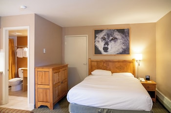 Studio, 1 Queen Bed