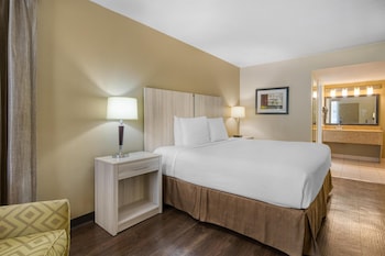 Standard Room, 1 King Bed, Non Smoking, Refrigerator & Microwave