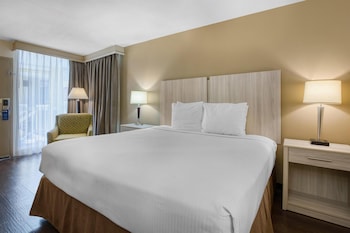Standard Room, 1 King Bed, Non Smoking, Refrigerator & Microwave