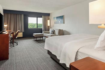 Room, 1 King Bed with Sofa bed, River View
