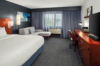 Room, 1 King Bed with Sofa bed