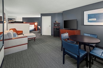 Room, 1 King Bed with Sofa bed, Mobility Accessible (Roll-in Shower)