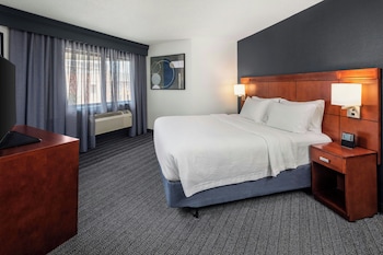 Room, 1 King Bed with Sofa bed, Mobility Accessible (Roll-in Shower)