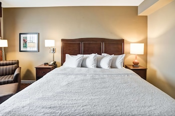 Room, 1 Queen Bed, Accessible, Bathtub