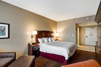 Room, 1 King Bed, Accessible, Bathtub (Hearing Impaired)
