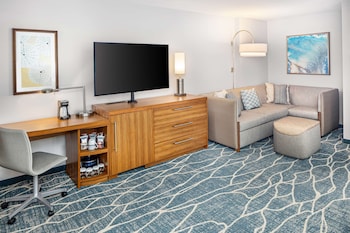 1 King Bed Mountain View Premium (Sofa Bed)