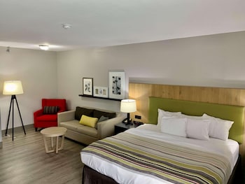 Studio Suite, 1 King Bed with Sofa bed, Non Smoking