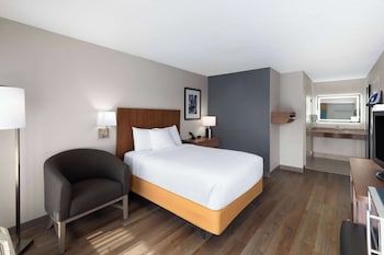 Room, 1 Double Bed, Accessible, Non Smoking