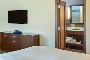 Room, 1 King Bed, Accessible (City/Mountain View, Roll-in Shower)