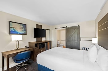 Room, 1 Queen Bed, Accessible, Non Smoking (Mobility/Hearing, Roll-In Shower)