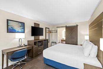 Standard Room, 1 King Bed