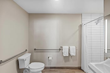 Room, 1 Queen Bed, Accessible, Non Smoking (Mobility/Hearing, Roll-In Shower)