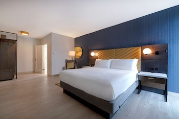 Suite, 1 King Bed