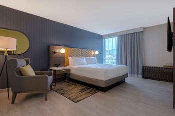 Suite, 1 King Bed