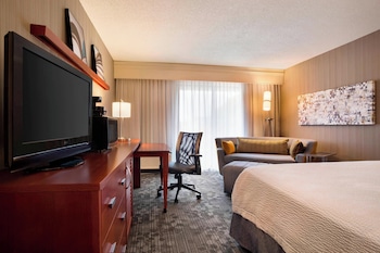 Room, 1 King Bed with Sofa bed, Hearing Accessible