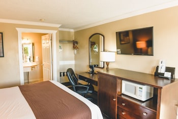 Room, 1 King Bed, Non Smoking