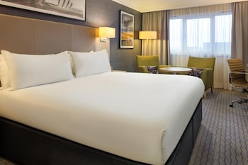 Room, 1 King Bed