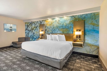 Room, 1 King Bed, Accessible, Non Smoking