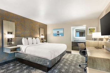 Room, 1 King Bed, Non Smoking (Exterior Corridor)