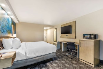 Standard Room, 1 King Bed, Non Smoking