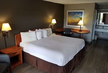 Room, 1 Double Bed, Smoking, Refrigerator