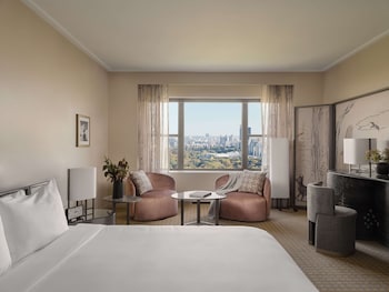 Studio Suite, 1 King Bed, Accessible, Park View (with Tub Shower)