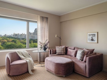 Studio Suite, 1 King Bed, Accessible, Park View (Panoramic, with Tub Shower)