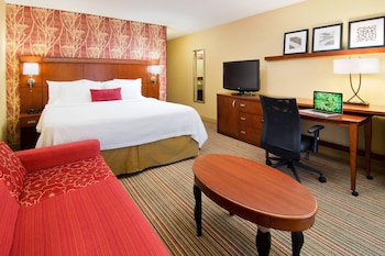 Room, 1 King Bed with Sofa bed (Mobility/Hearing Access, Roll-In Shwr)