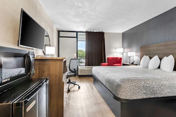 Room, 1 King Bed, Non Smoking
