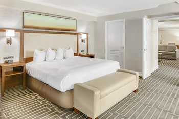 Room, 1 King Bed, Accessible, Bathtub (Mobility & Hearing)