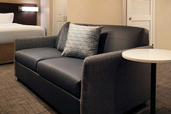 Studio, 1 King Bed with Sofa bed