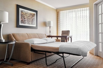 Suite, 1 Bedroom (Mobility Accessible, Roll-In Shower)