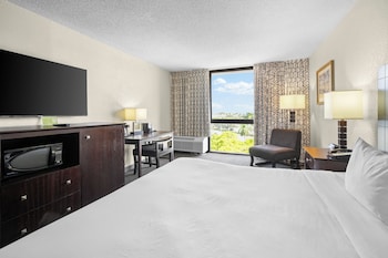 Deluxe Room, 1 King Bed, Accessible, City View