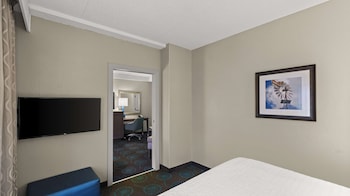 Suite, 1 King Bed, Non Smoking