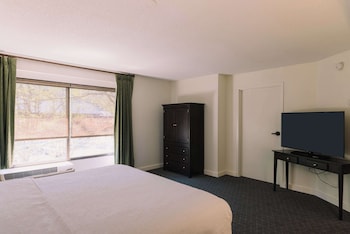 Suite, 1 King Bed