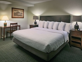 Suite, 1 King Bed