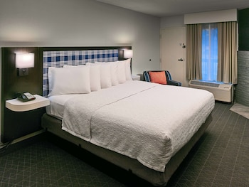 Suite, 1 King Bed