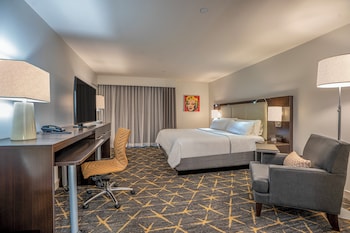 Premium Room, 1 King Bed, Accessible (Communications)