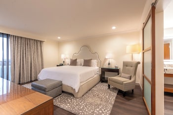 Suite, 1 King Bed, City View