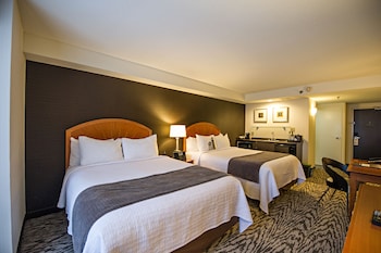 Standard Studio, 2 Queen Beds (Double)