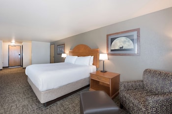 Business Room, 1 King Bed, Non Smoking, Refrigerator & Microwave