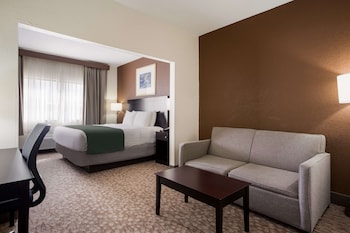 Suite, 1 King Bed, Non Smoking, Refrigerator & Microwave (with Sofabed)