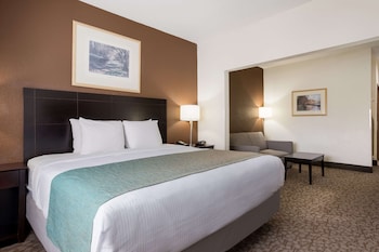 Suite, 1 King Bed, Non Smoking, Refrigerator & Microwave (with Sofabed)