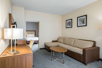 Suite, 1 King Bed with Sofa bed, Accessible, Non Smoking