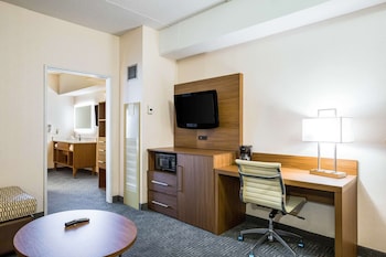 Suite, 1 King Bed with Sofa bed, Non Smoking
