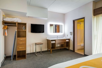Suite, 1 King Bed with Sofa bed, Non Smoking