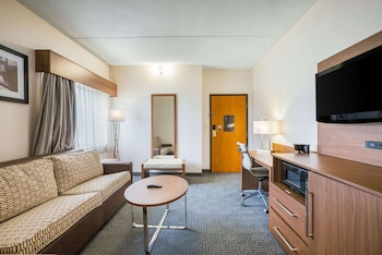 Suite, 1 King Bed with Sofa bed, Non Smoking