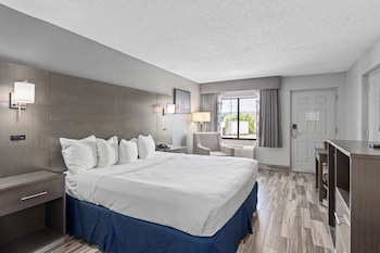 Room, 1 King Bed, Mobility Accessible, Non Smoking (Bathtub W/grab Bars)