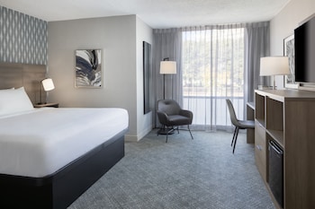 Room, Accessible (King)